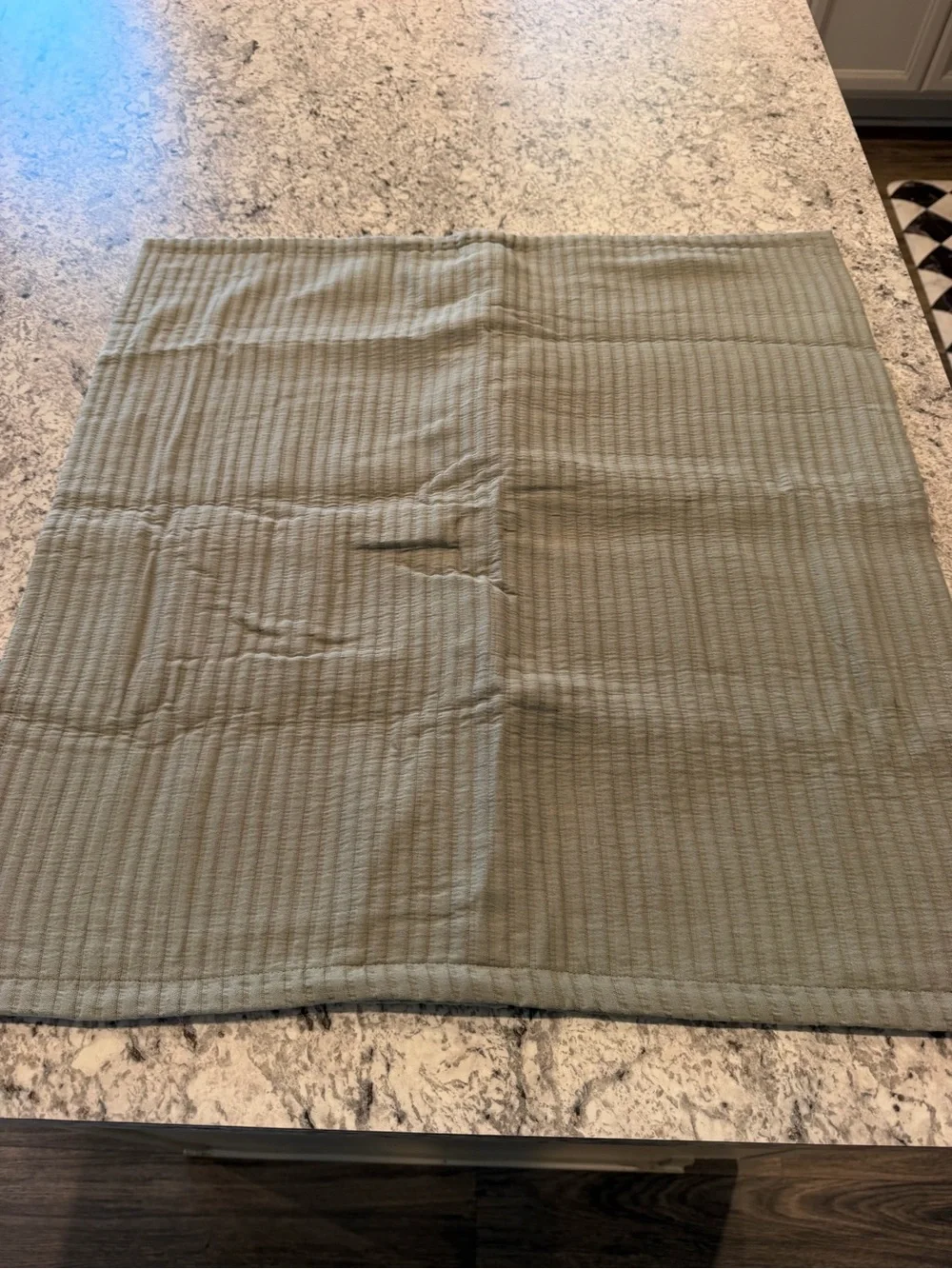 Quince Sage Green Cotton Euro Sham 26x26